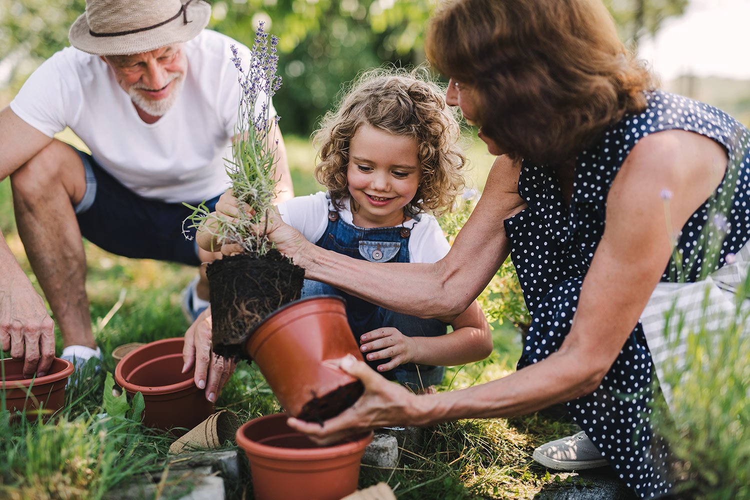 Green planet: how gardening can save the world from climate crisis