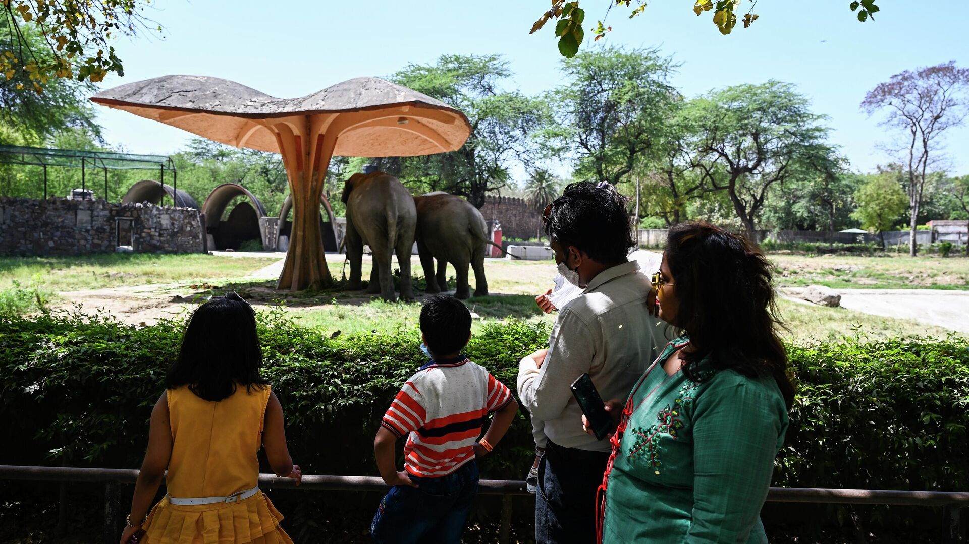 Delhi zoo announces animal adoption : you are now free to adopt your favourite animal.