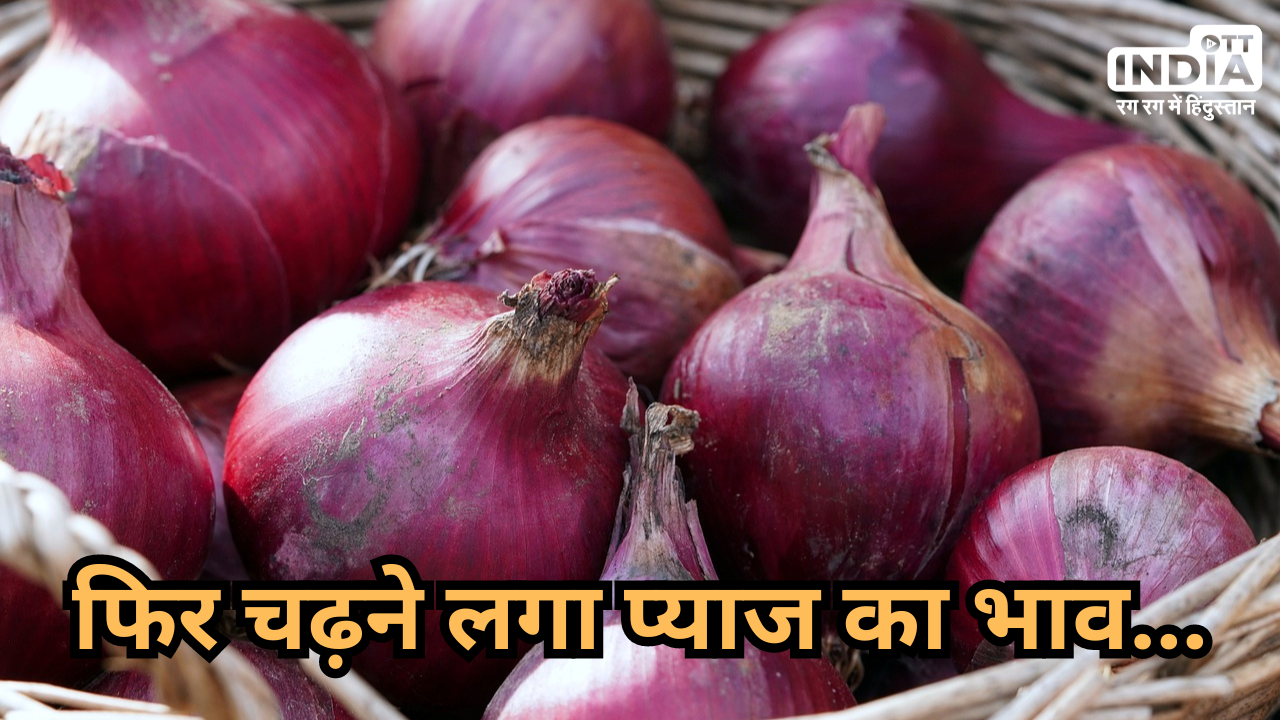 Onion Price Hike: फिर रुला रहे प्याज के दाम ! लेकिन परेशानी में क्यों आए किसान ?