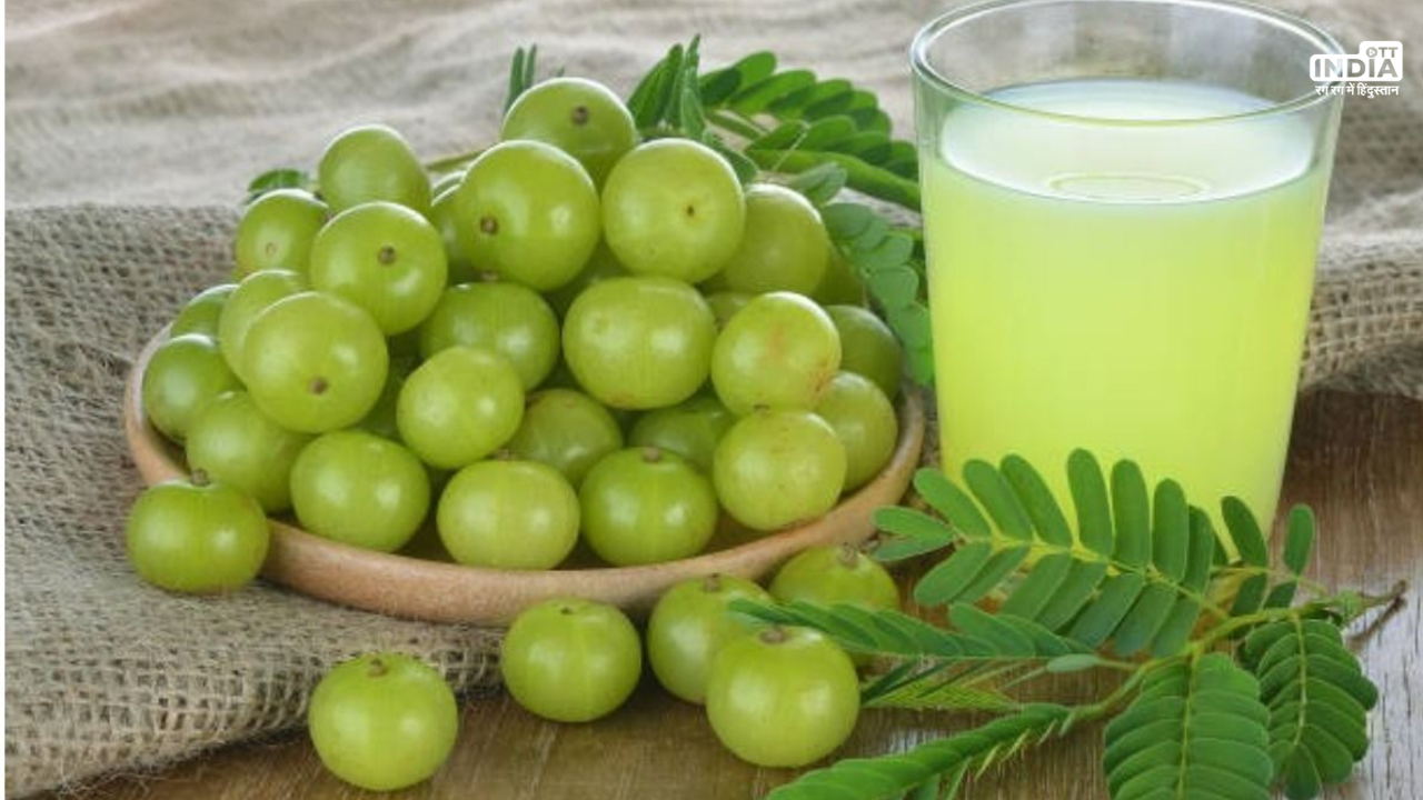 Amla Juice Benefits: सुबह-सुबह खाली पेट आंवला जूस के हैं बहुत लाभ, पाचन रहता है दुरुस्त