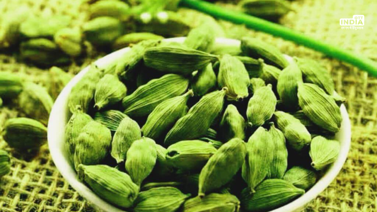 Cardamom Benefits: इलायची का सेवन कई रोगों को रखता है दूर, जानिये इसके अनगिनत फायदे