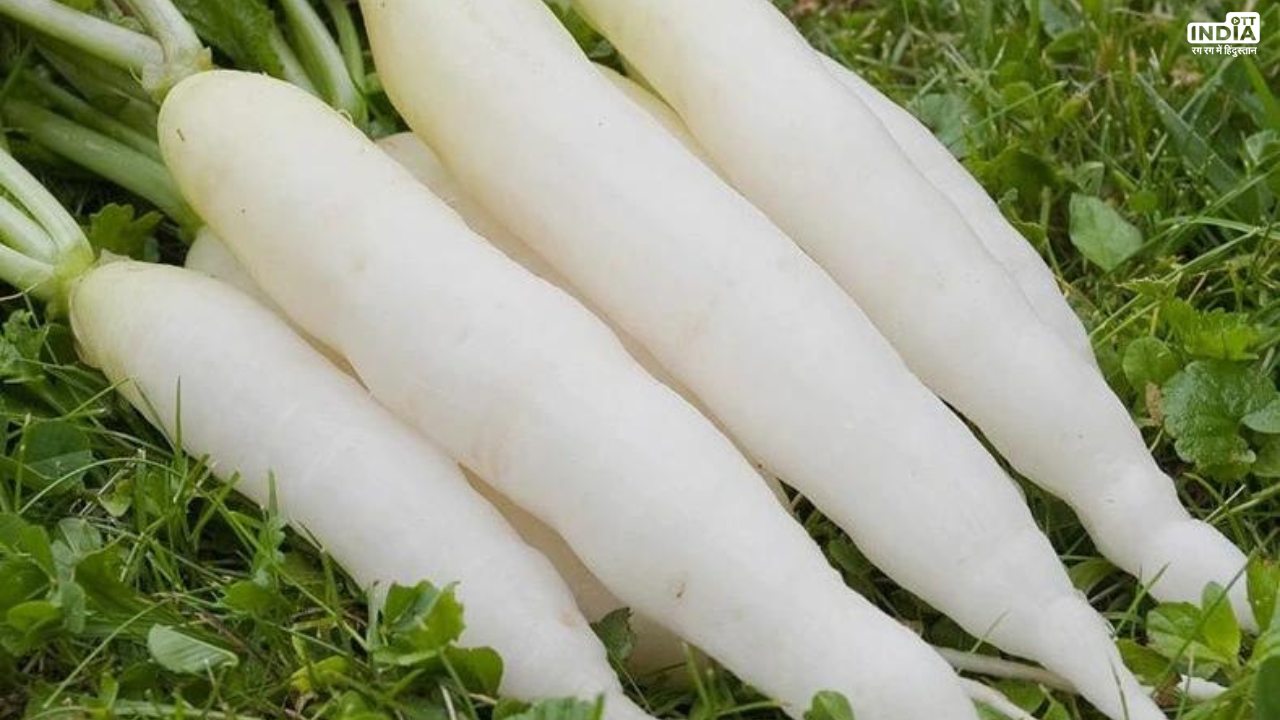 Radish Side Effects: सर्दियों में ज्यादा मूली खाने से हो सकते हैं ये नुकसान, संभल कर करें सेवन