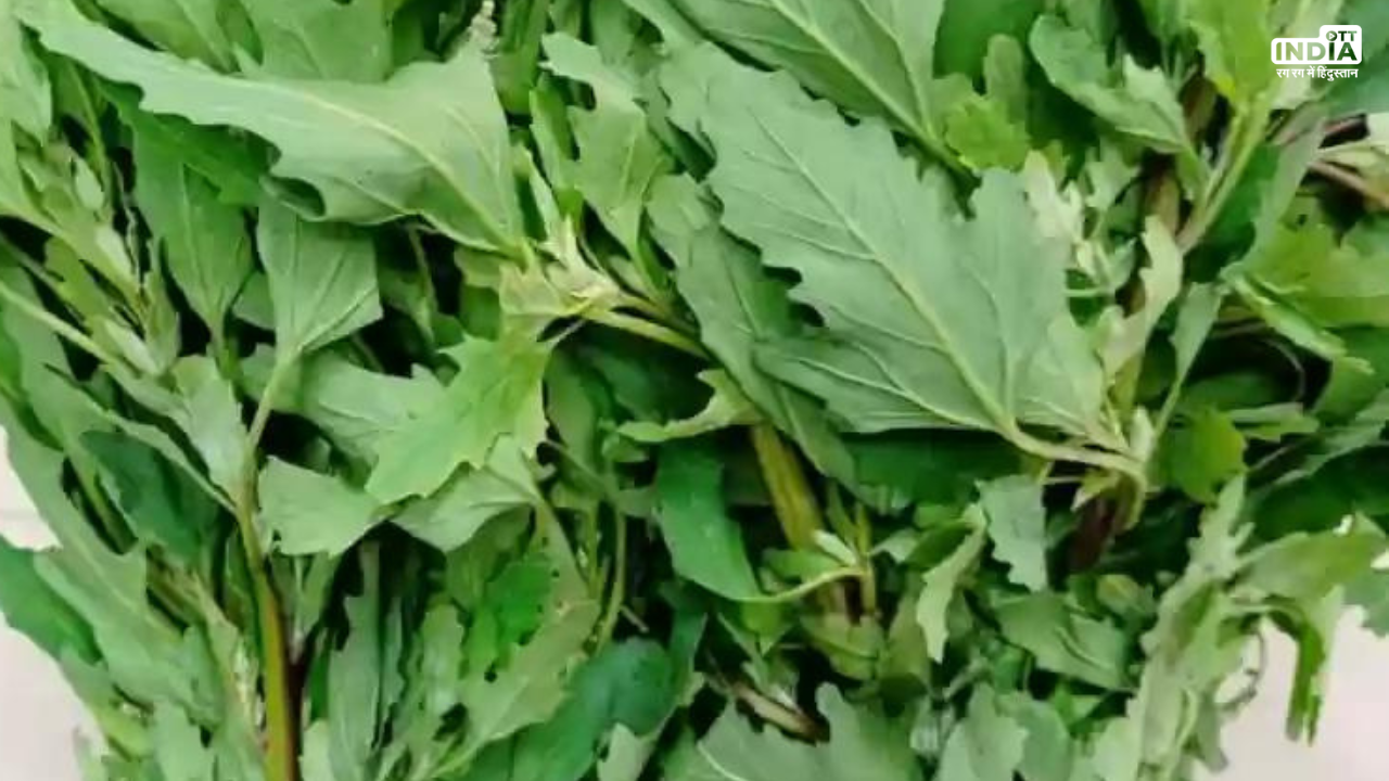 Bathua Saag Benefits