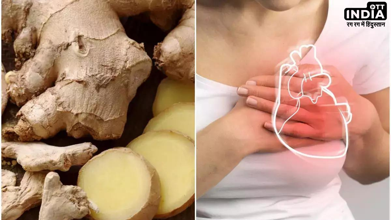 Ginger Side Effects: सावधान ! अदरक का ज्यादा सेवन कर देगा आपको बहुत बीमार , जानिये कितनी मात्रा में इसका सेवन है उचित