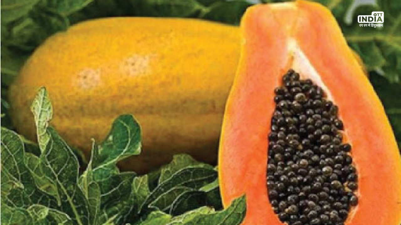 Papaya Benefits In Winter