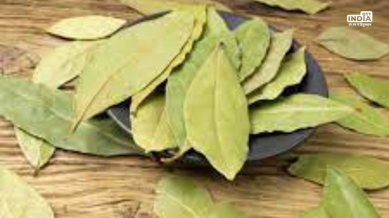 Bay Leaf Health Benefits