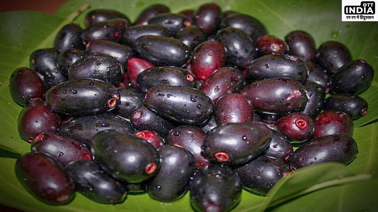 Jamun Fruit: जामुन के सहारे भगवान राम ने काटे थे अपने वनवास के दिन, फल ही नहीं पत्तियां और बीज भी है बहुत फायदेमंद