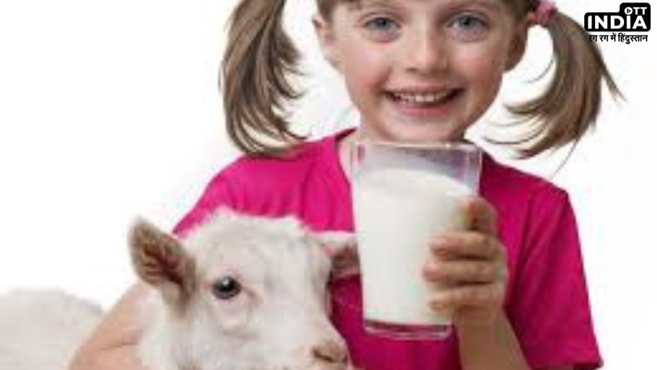 Goat Milk Benefits