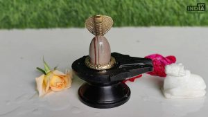 Pradosh Vrat Date and Time