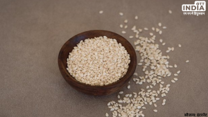 Shattila Ekadashi 2024