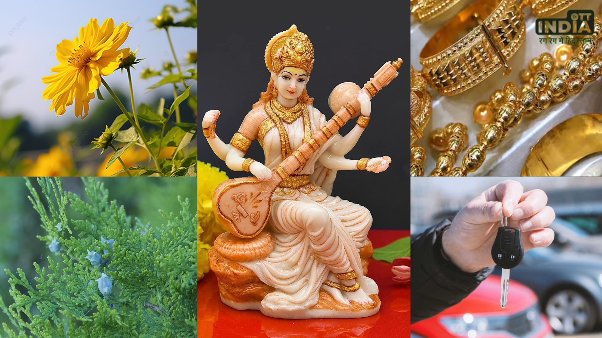 Basant Panchami 2024 Vastu Tips: बसंत पंचमी के दिन घर लाए ये चीजें, जीवन में आएगी खुशहाली