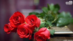Rose Day 2024 Wishes