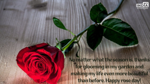 Rose Day 2024 Wishes
