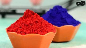 Falgun Month 2024 Daan