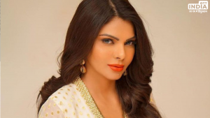 Sherlyn Chopra Birthday Special Story