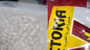 Drugs Seized Gujarat