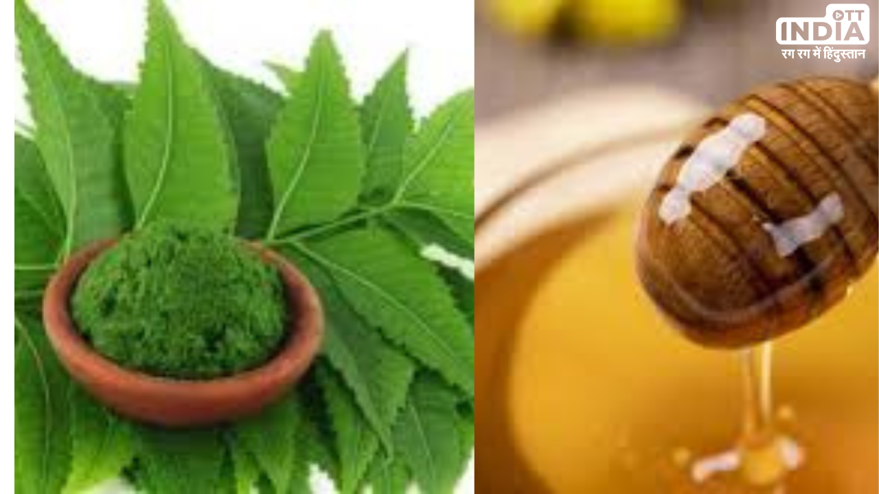 Neem And Honey Benefits: फेफड़ों की समस्या से बचना है तो रोजाना चाटिये नीम के साथ शहद