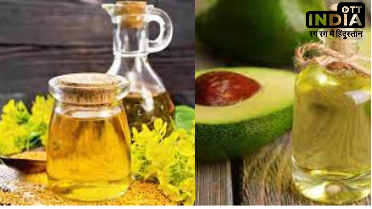 Best Cooking Oils: ये हैं टॉप फाइव कुकिंग आयल, इनके इस्तेमाल से आप हमेशा रहेंगे फिट एंड फाइन