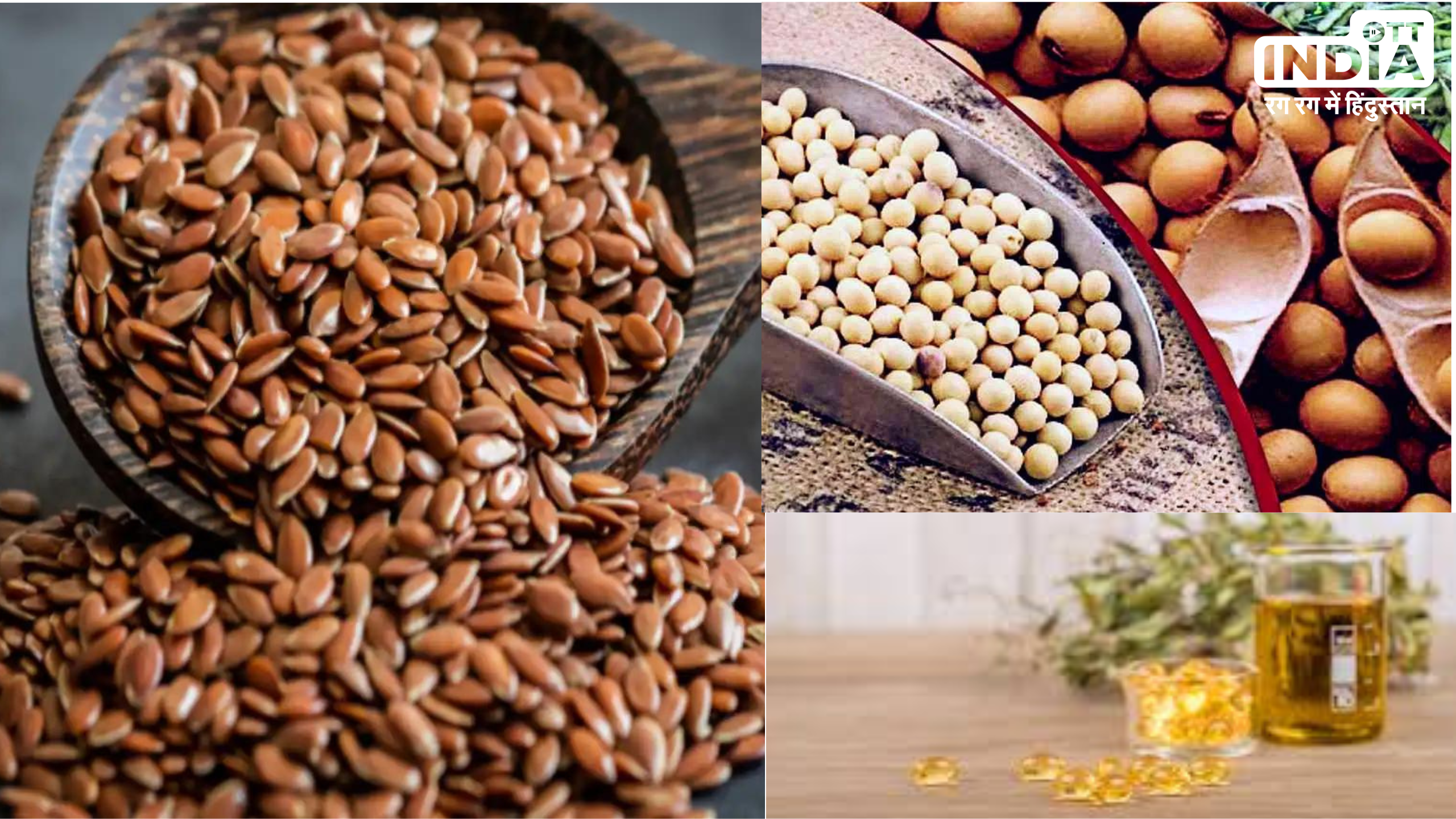 Vegetarian Sources Of Omega-3: ओमेगा 3 की कमी को पूरा करने के लिए खाइये ये 8 शाकाहारी फूड्स