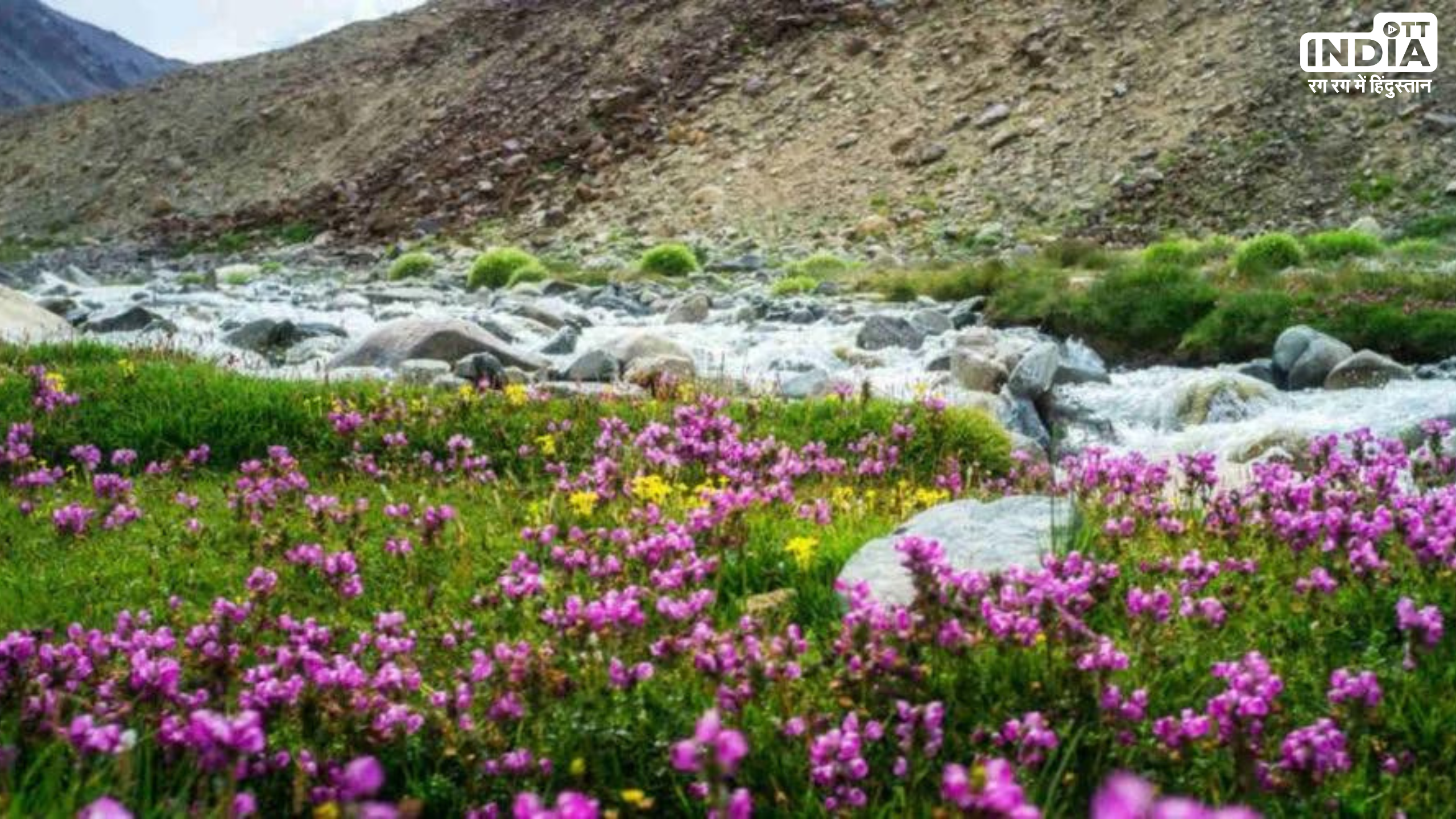 Spring Season Destinations: वसंत के मौसम में भारत के ये पांच जगह लगते हैं स्वर्ग की तरह, एक बार जरूर जाएँ