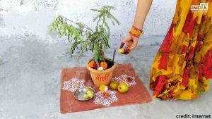 Amalaki Ekadashi 2024 Date