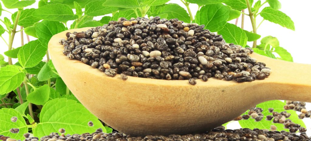 Chia Seeds Benefits