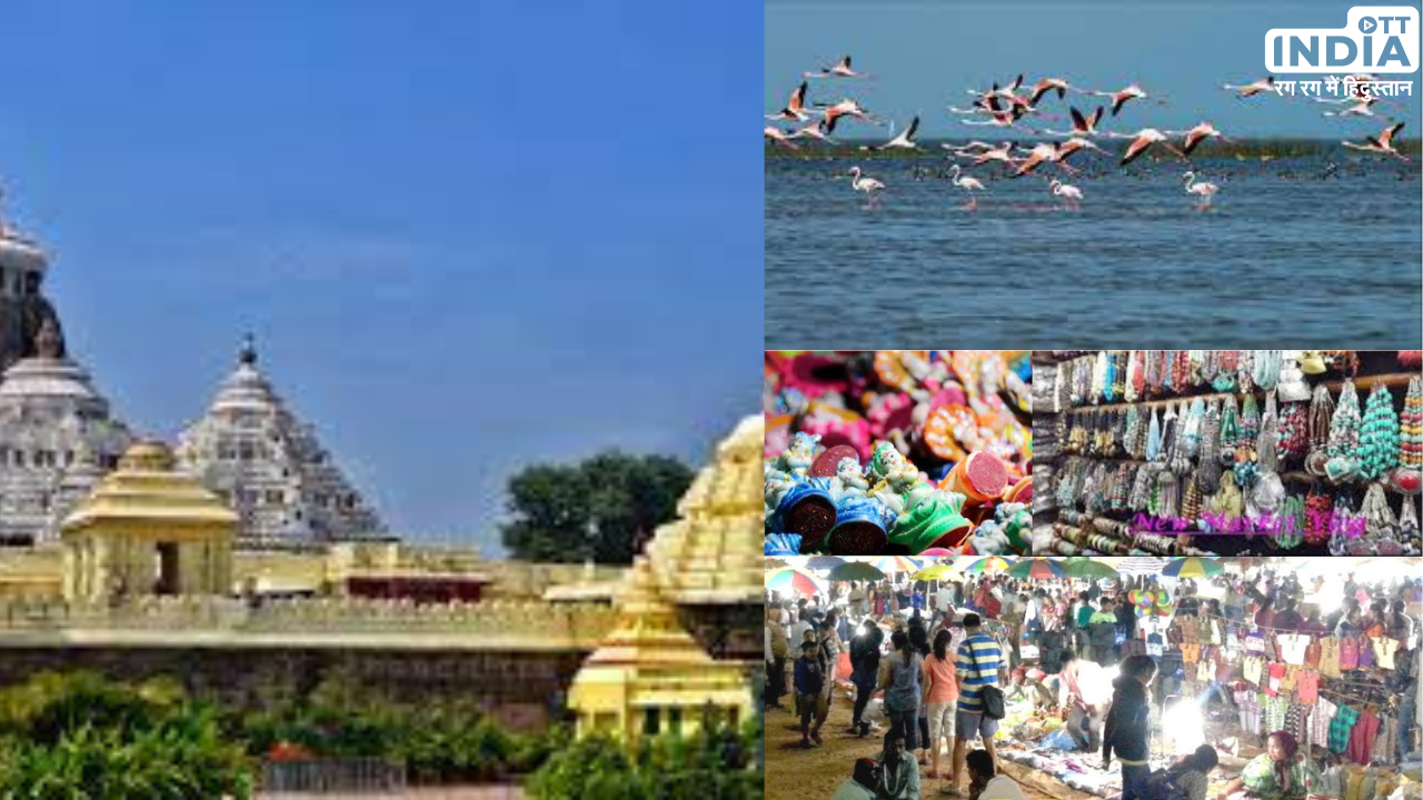 Best Places to Visit in Puri: पुरी है अपने सांस्कृतिक विरासत, समुद्र तटों और जगन्नाथ मंदिर के लिए प्रसिद्ध