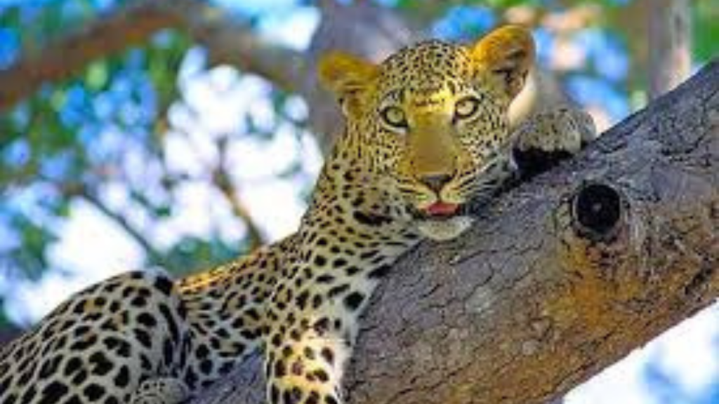 Papikonda National Park