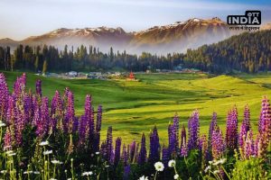 IRCTC Kashmir Tour Package