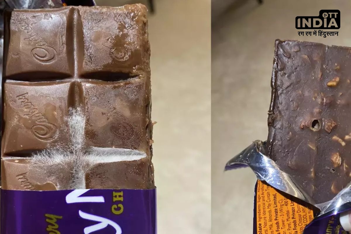 Fungus on Cadbury Chocolate