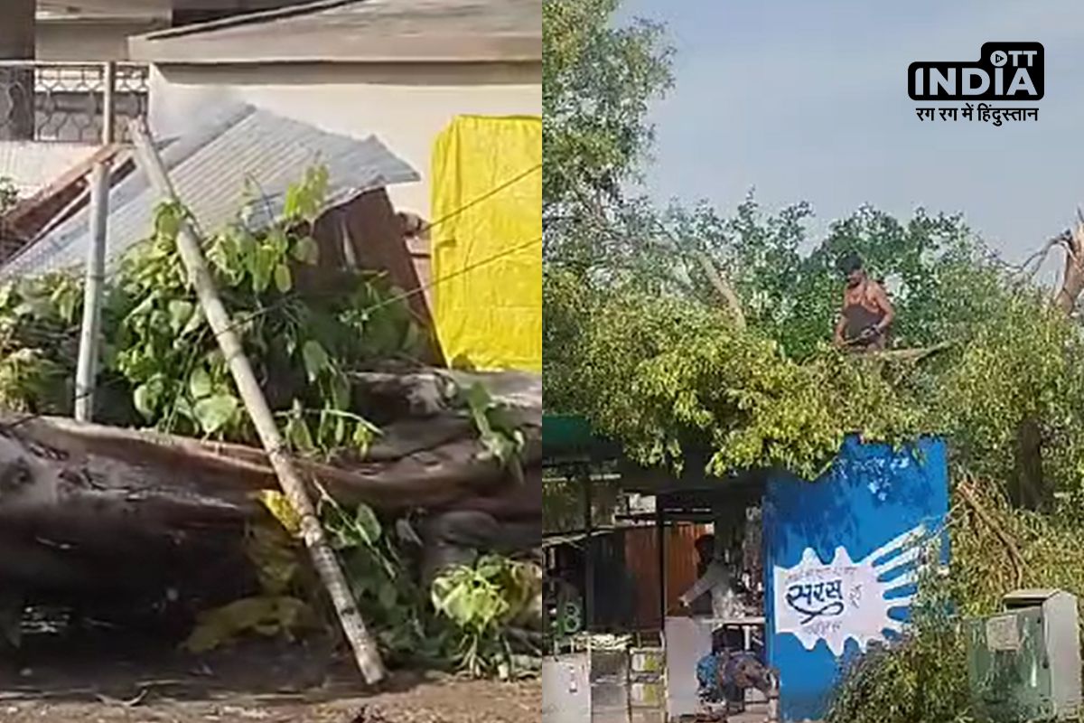 Storm Damage : सवाई माधोपुर में तेज अंधड़ और बारिश का कहर , कई पेड़ और बिजली पोल जमींदोज, कई घंटे से बिजली गुल