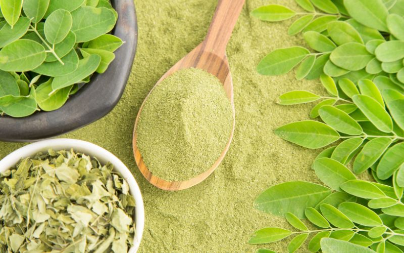 Moringa Benefits
