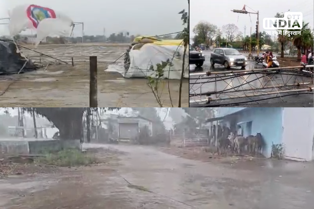 RAIN HAILSTROM IN MP: नर्मदापुरम और भोपाल में बारिश के साथ ओले, बर्बाद हो रही किसानों की गेहूं फसल