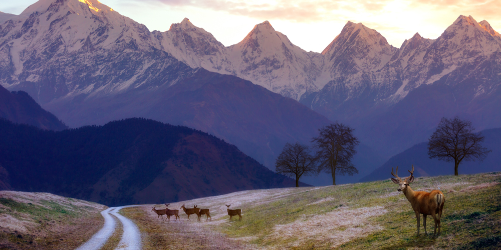 Hidden Places to Visit