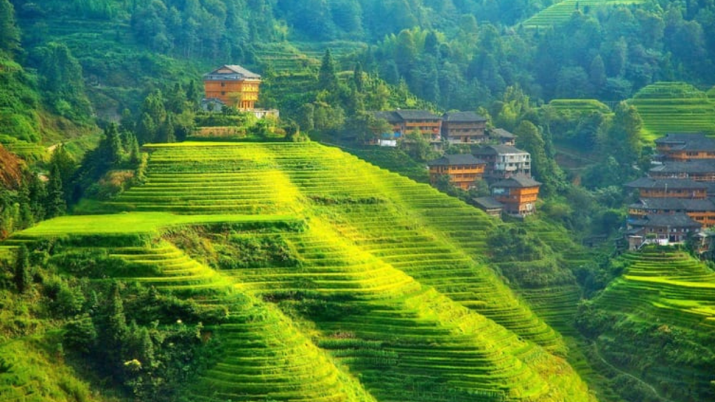 Hill Stations in Tamil Nadu