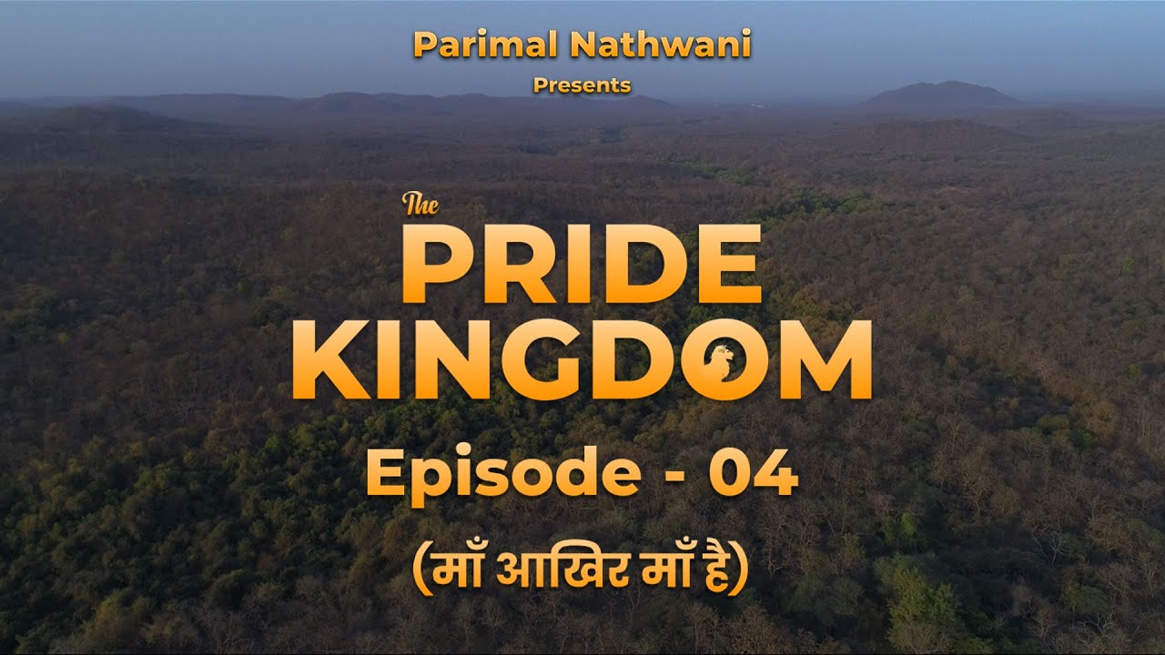 The Pride Kingdom – Episode 4