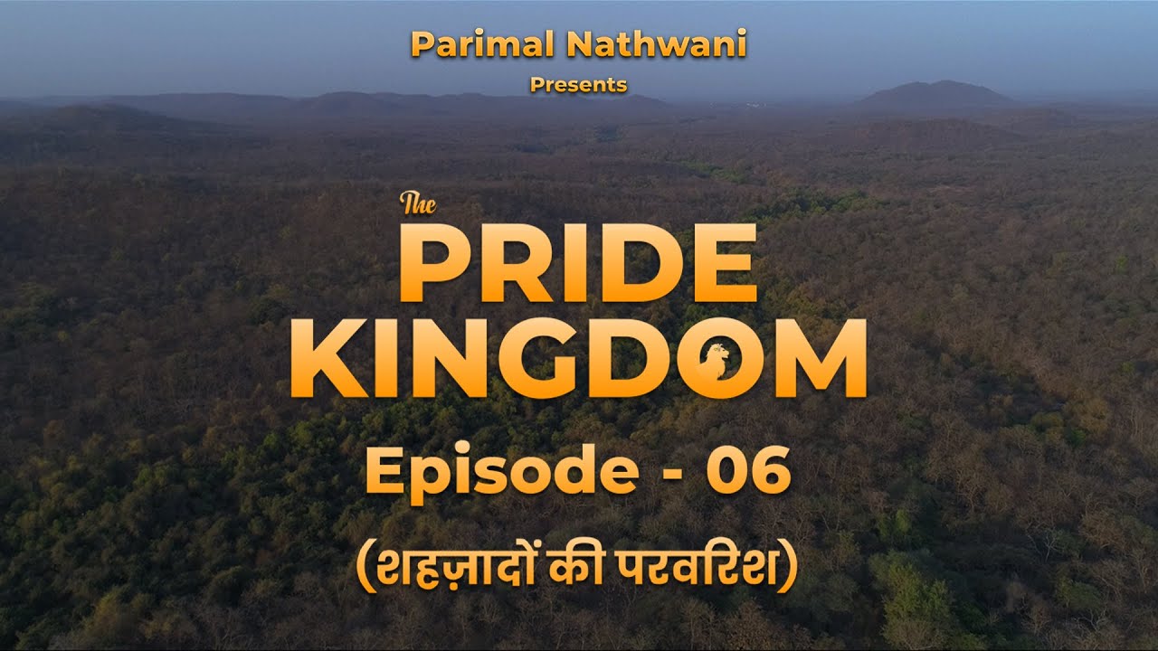 The Pride Kingdom – Episode6