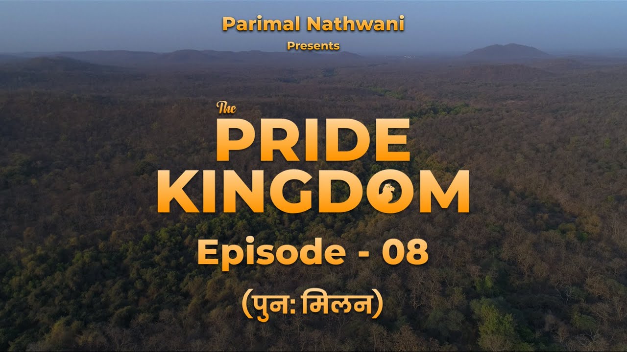 The Pride Kingdom – Episode8