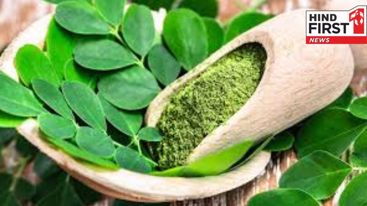 Moringa Benefits for Women: मोरिंगा है महिलाओं के लिए पोषण का पावरहाउस, जानें इसके फायदे