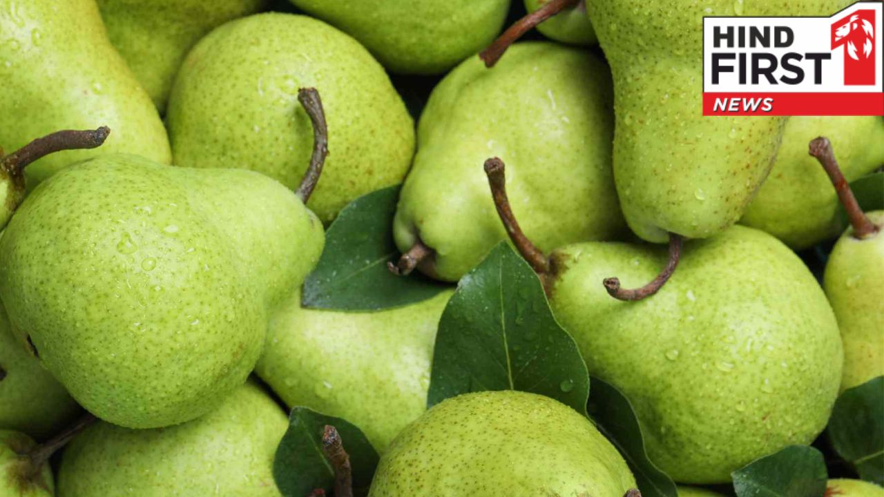 Pear Benefits: नाशपाती खाने के इन फायदों को जानकर चौंक जाएंगे आप, स्वाद और सेहत का है ख़जाना