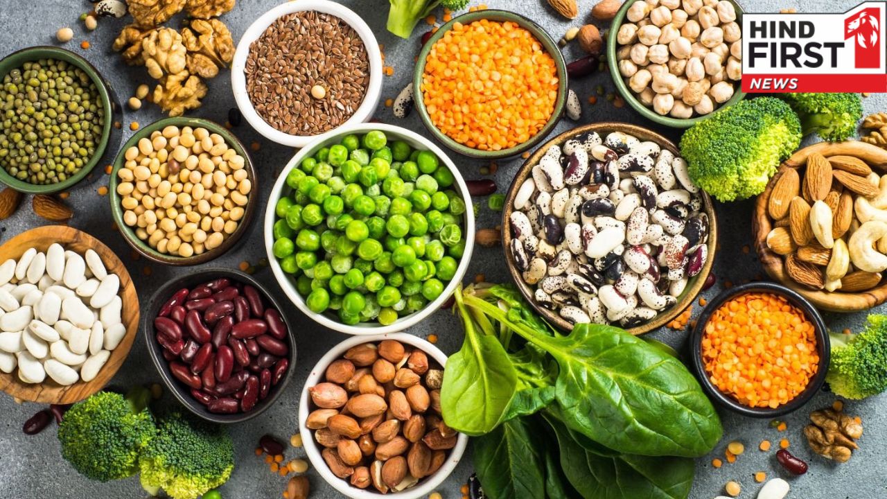 Plant Protein: प्लांट प्रोटीन के इन 5 फायदों को जानकर चौंक जाएंगे आप , जानिए इसके बेहतरीन स्त्रोत