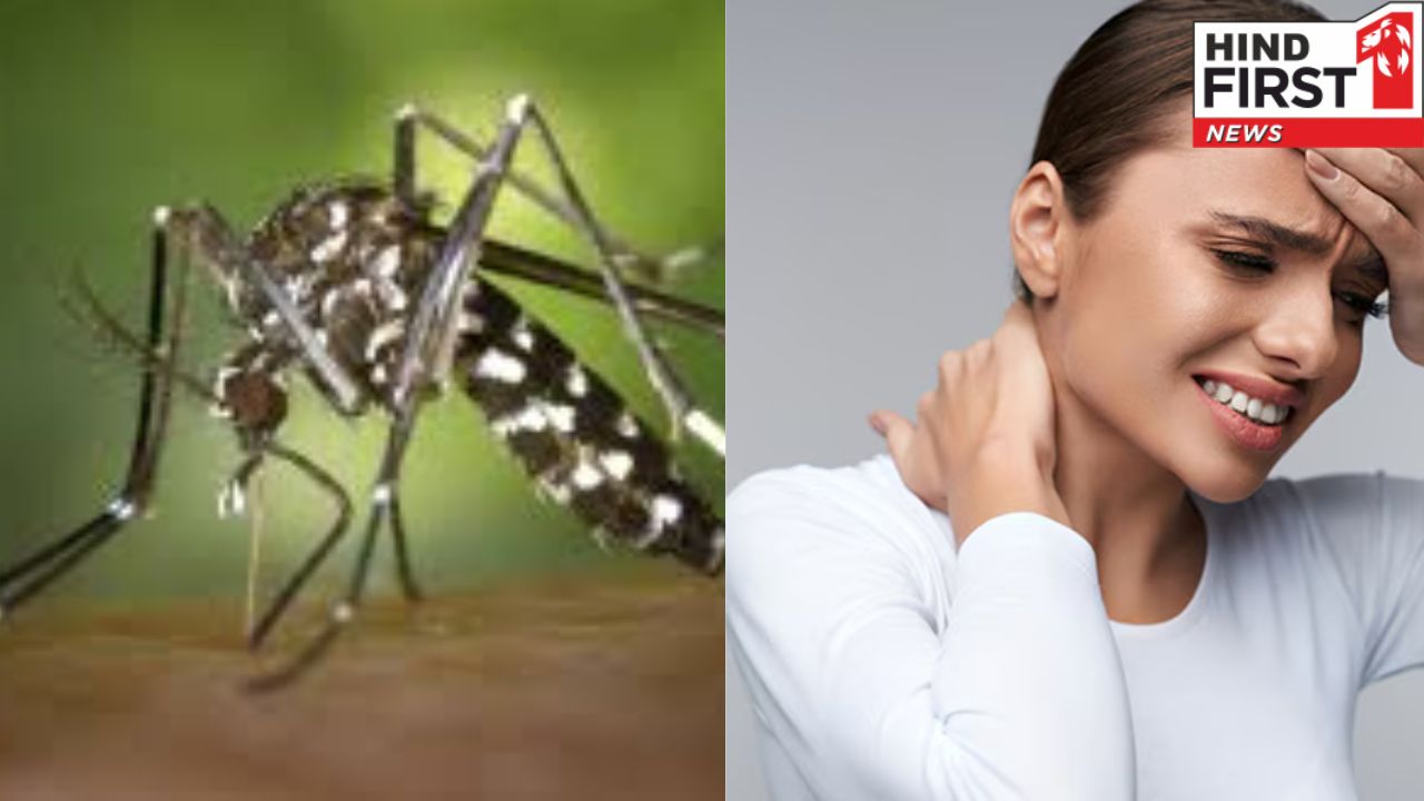 Chikungunya Symptoms: शरीर में इन संकेतों को ना करें इग्नोर , जानिए कैसे करें चिकनगुनिया से बचाव