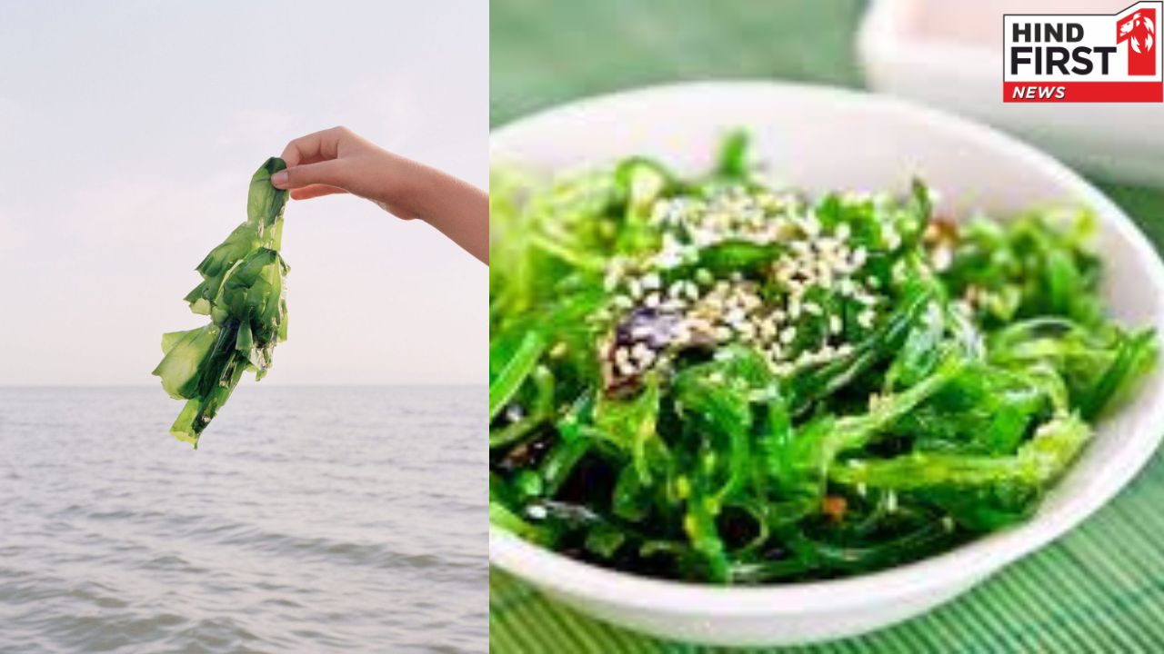 Kelp benefits: इस जापानी डिश के बेनिफिट्स को जानकर आप भी बन जाएंगे इसके फैन  , जानिए विस्तार से