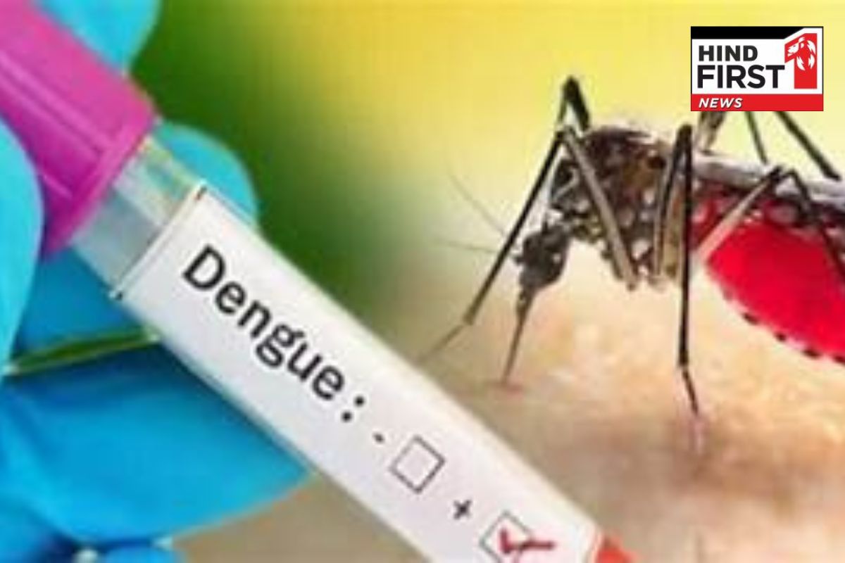 Tips For Dengue : इन तरीकों से करने डेंगू से पूरे परिवार का बचाव, भारी पड़ सकती है लापरवाही