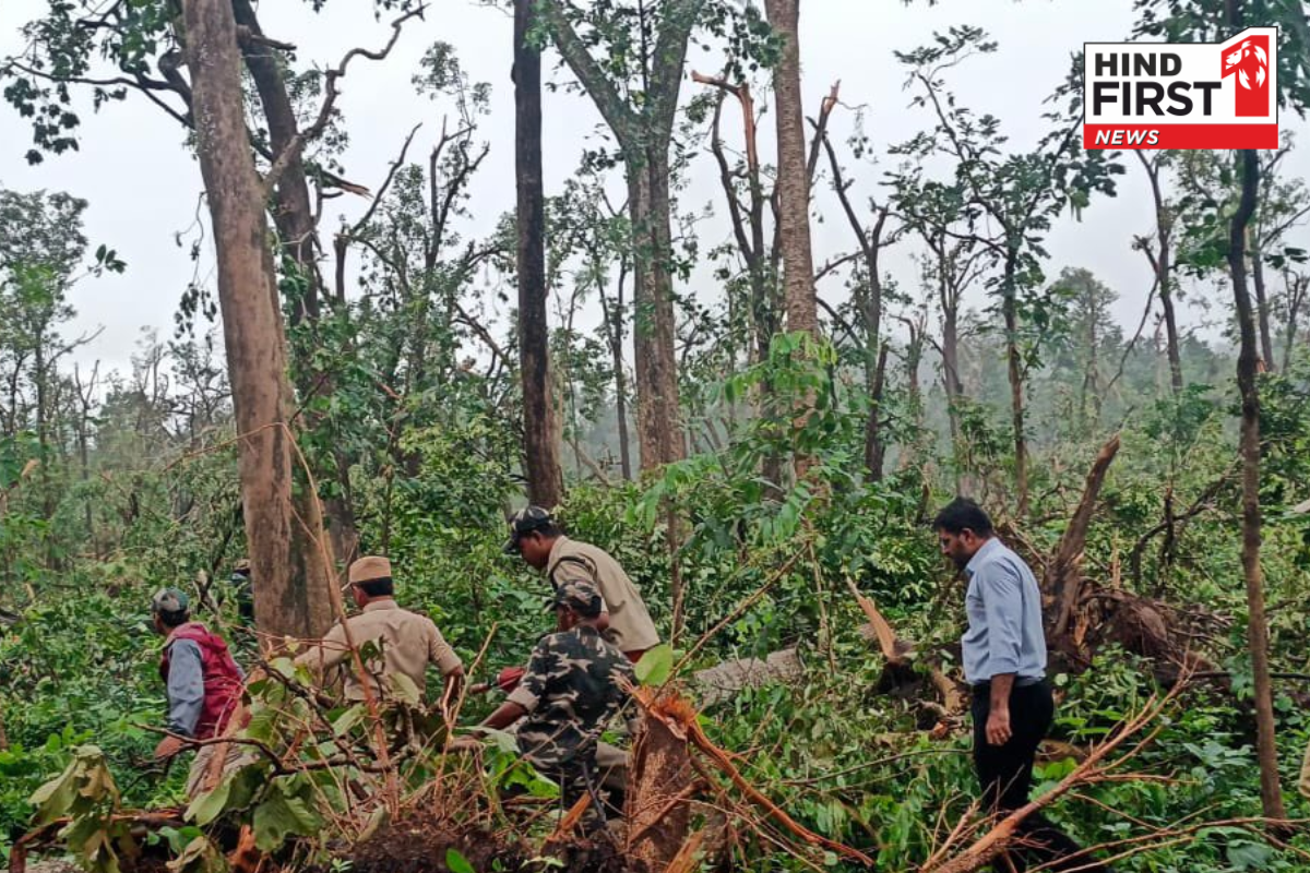 Weather Update: तेलंगाना में तेज बारिश ने मचाया कोहराम! गिरे 50,000 से अधिक पेड़