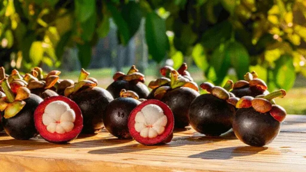 ​Mangosteen Benefits