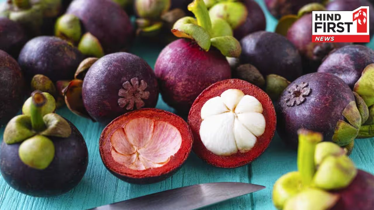 ​Mangosteen Benefits: फलों की रानी मैंगोस्टीन होती है बेहद खास, जानें इसके पांच बड़े हेल्थ बेनिफिट्स