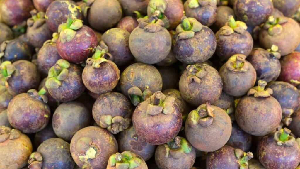 ​Mangosteen Benefits