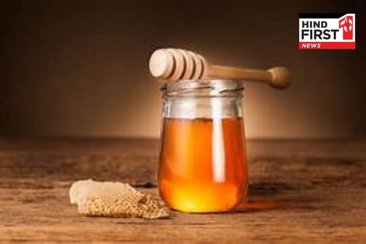 Honey Consumption Tips : शहद के साथ भूलकर भी इन चीजों का नहीं करें सेवन, वरना हो सकती है ये प्रॉब्लम्स