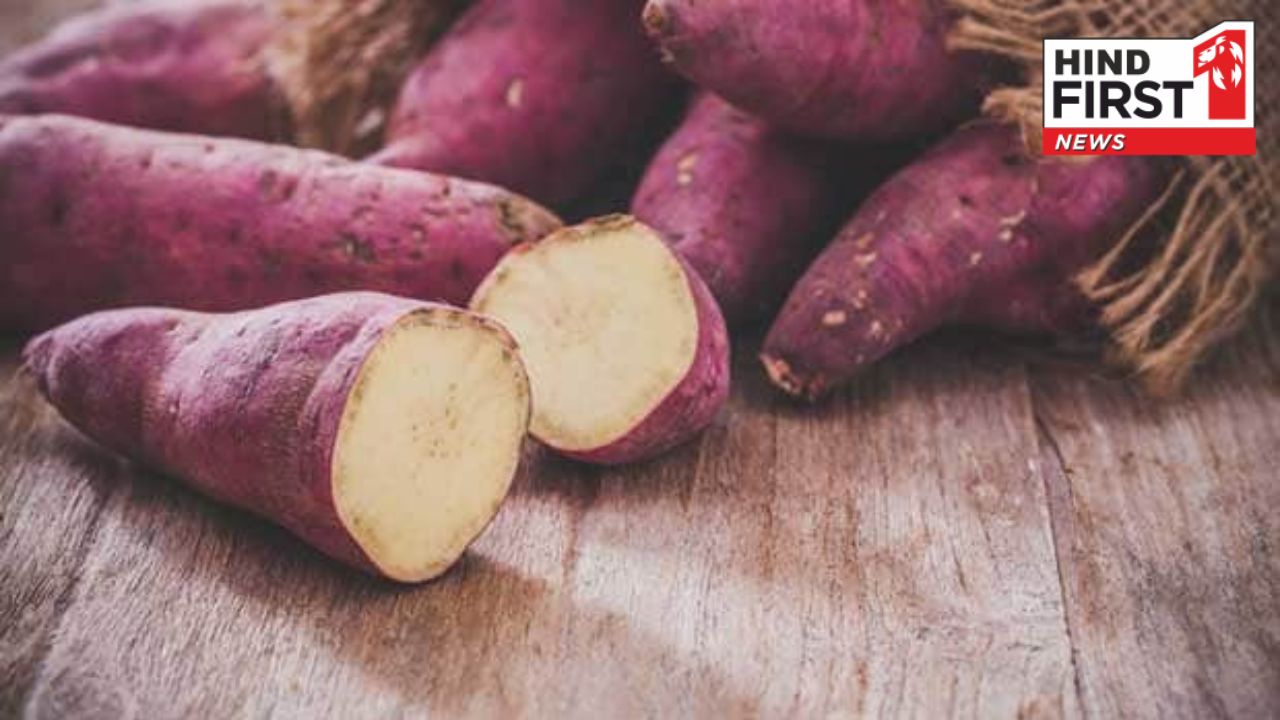 Sweet Potatoes Benefits: शकरकंद का नियमित करना चाहिए सेवन, जानें क्यों